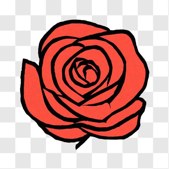 Scarica Rosa Rossa Simbolo di Amore e Romanticismo PNG Online - Creative  Fabrica