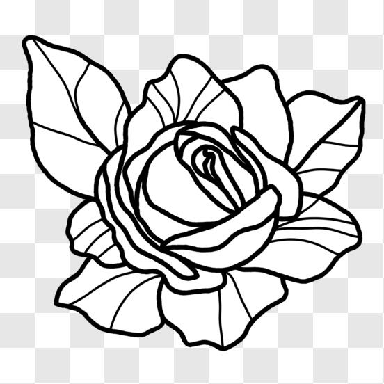 Desenho do stitch  Desenho, Desenhos de flor simples, Desenho de emoji