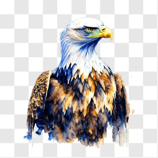 Download Vibrant Painting of an Eagle PNG Online - Creative Fabrica