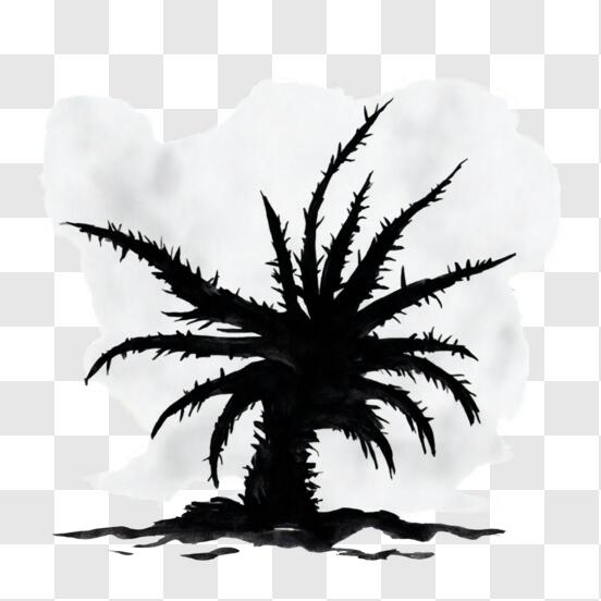 Geheimnisvolle Palmen-Silhouette in der Wüste PNG online herunterladen – Creative  Fabrica