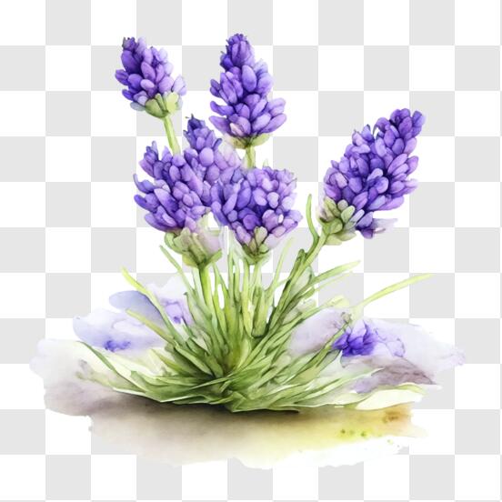 Purple flower glitter on transparent background. Flower icon.Design for  decorating,background, wallpaper, illustration 28174773 PNG