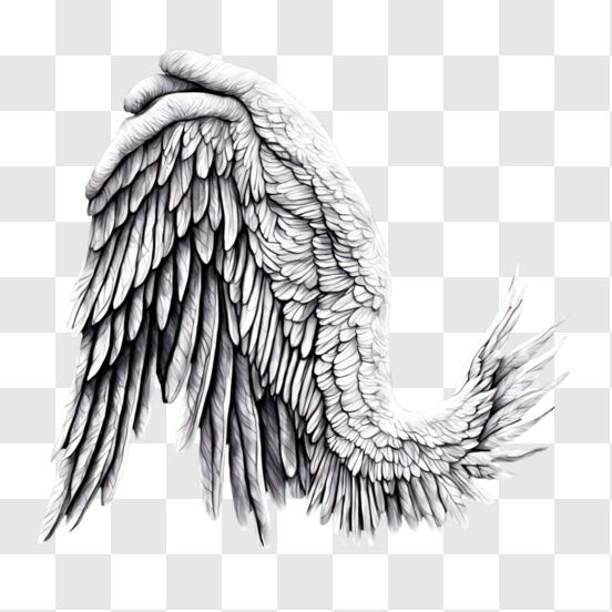Angel Wing Symbolizing Power and Spirituality
