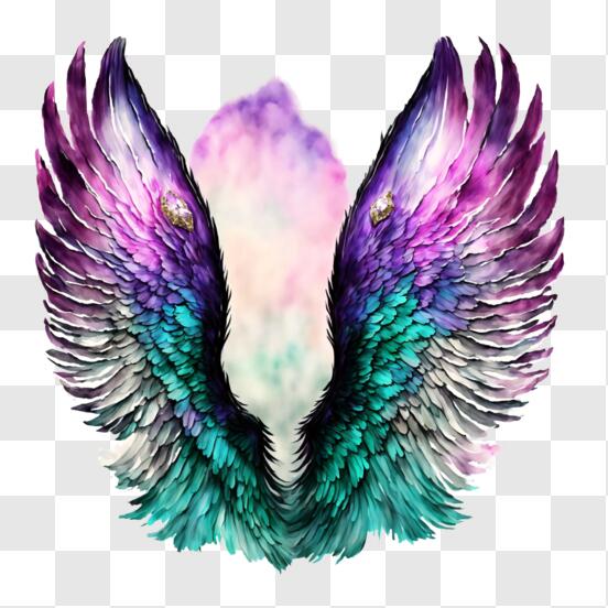 Angel Wing PNG - Download Free & Premium Transparent Angel Wing PNG ...