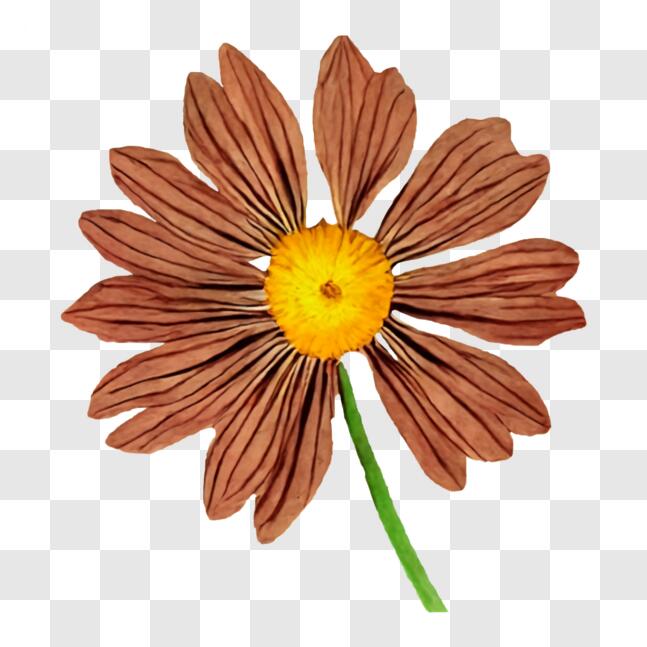 Download Beautiful Brown and Yellow Flower on a Black Background PNG ...