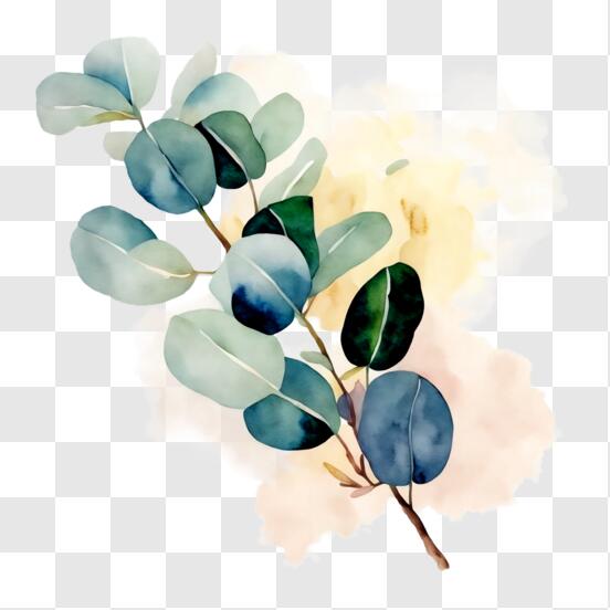 Peinture à l'aquarelle de feuille d'eucalyptus PNG