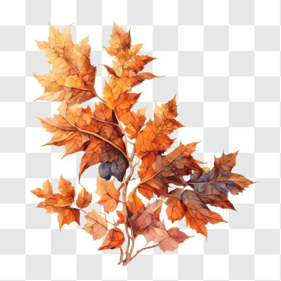 Scarica Dipinto ad acquerello di foglie d'autunno PNG Online - Creative  Fabrica
