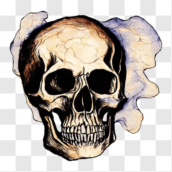 Desenho realista de um crânio humano. ilustração a cores: crânio, cinza,  fumaça, carvão, fogo.