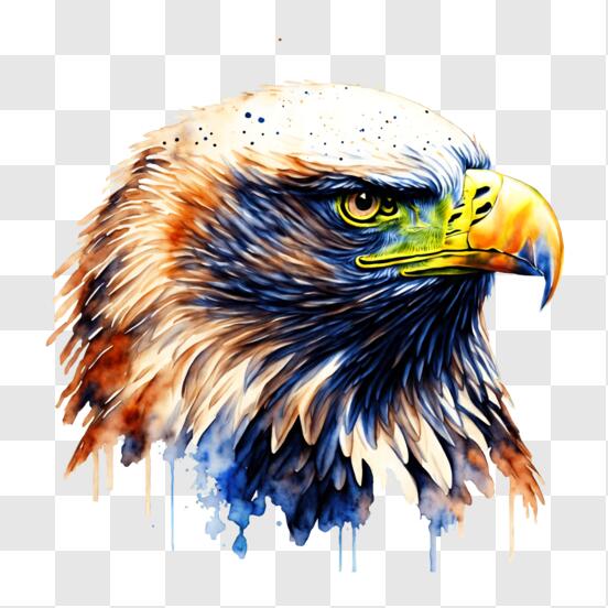 Paint by Numbers Archives - Paintology  Abstract coloring pages, Painting  templates, Eagle painting