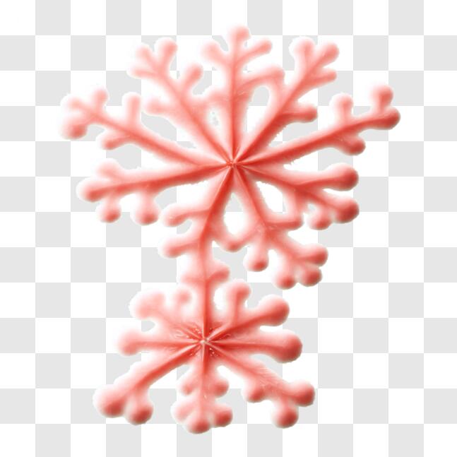 Download Pink Snowflake Decoration - Natural Beauty for Your ...