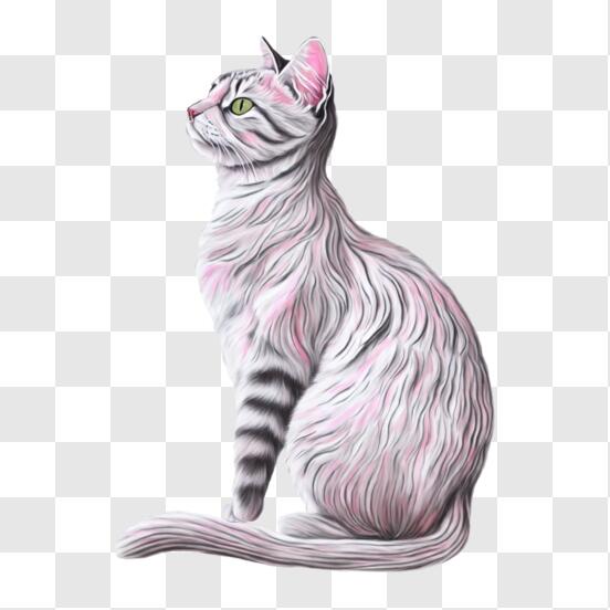 Desenho De Gatos PNG- Baixe imagens gratuitas e transparentes em