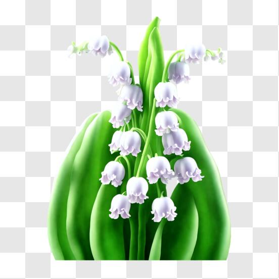Download Beautiful Hanging Plant with Long Green Vines and White Flowers  PNG Online - Creative Fabrica