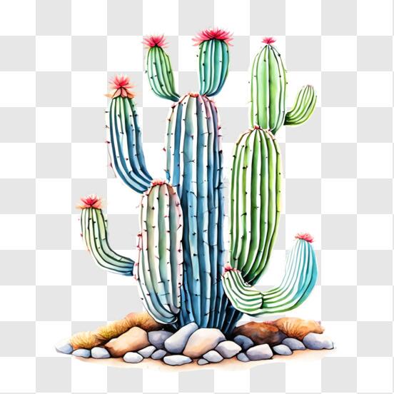 Cacto do deserto para colorir  Cactus clipart, Clipart black and