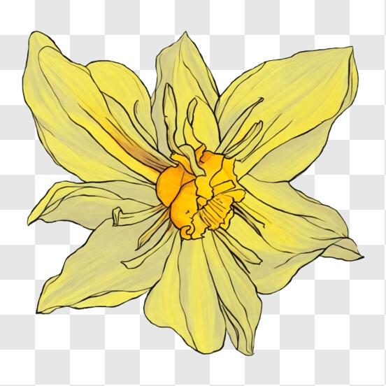 Desenho do stitch  Desenho, Desenhos de flor simples, Desenho de emoji