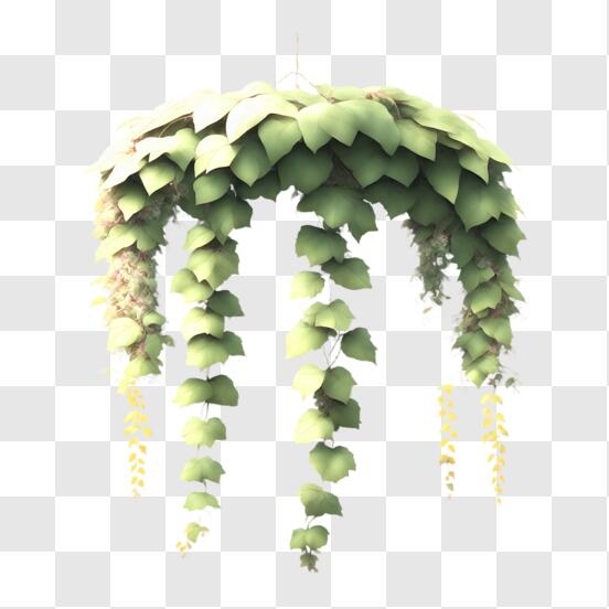 Download Beautiful Hanging Plant with Long Green Vines and White Flowers  PNG Online - Creative Fabrica