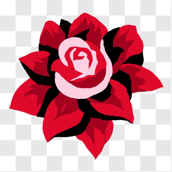 Real Rose Petals PNG Transparent, Real Shot Red Rose Petals, Flower, Petal,  Rose PNG Image For Free Download
