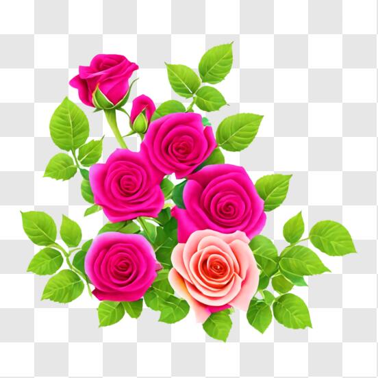 Fundo Lindo Bolo Rosa Com Rosas De Tamanhos Diferentes Fundo
