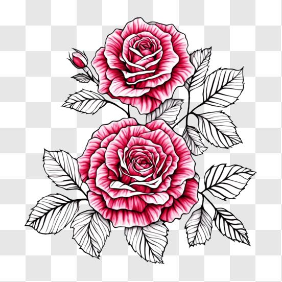 Rose Tattoo Transparent Images - Rose Tattoo Line Art, HD Png Download -  900x1334(#639496) - PngFind