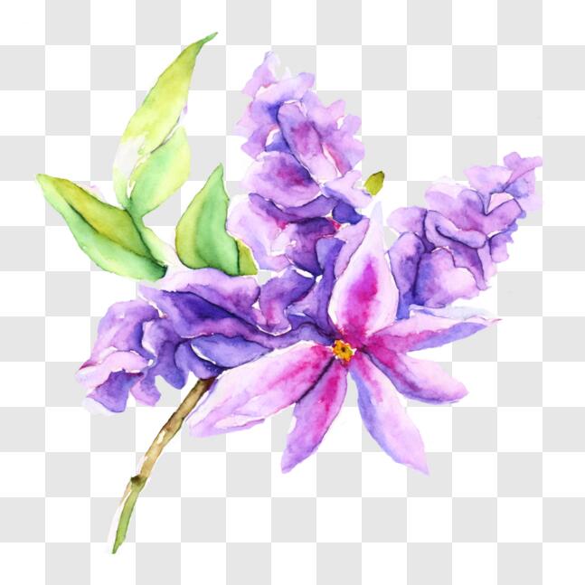 Download Watercolor painting of purple lilac flowers with green leaves ...