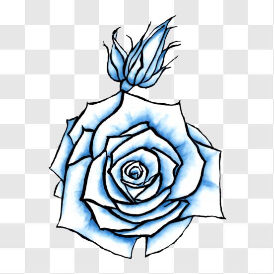 Scarica Disegno di una rosa blu semplice ed elegante PNG Online - Creative  Fabrica