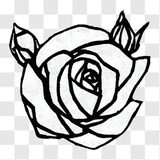 Scarica Disegno di una rosa in bianco e nero per decorazioni PNG Online - Creative  Fabrica