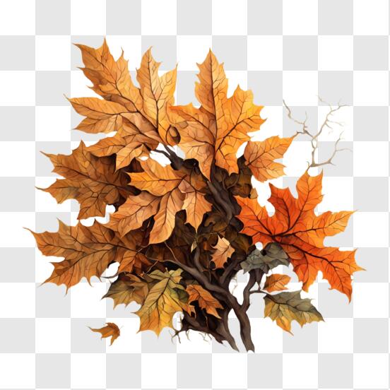Download Autumn Tree in Circular Frame - Seasonal Decoration PNG Online ...