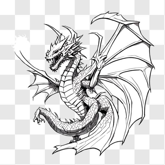 T l charger Dessin de dragon noir et blanc PNG En Ligne Creative