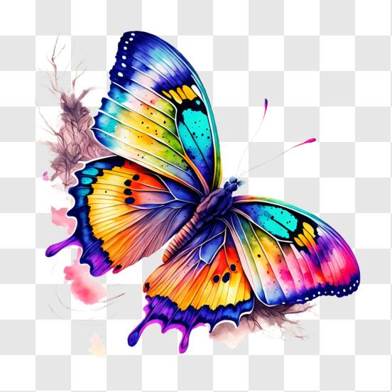 Scarica Bellissima farfalla con intricati motivi alari PNG Online - Creative  Fabrica