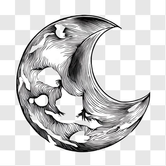 Moon PNG Image  Art theory, Graphic design resources, Moon