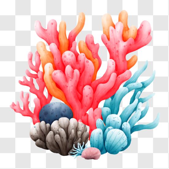 Download Explore the Beauty of a Colorful Coral Reef PNG Online