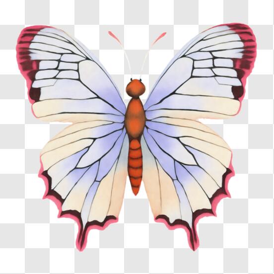 10 Mariposas Voladoras, Mariposa De Hadas En El Libro