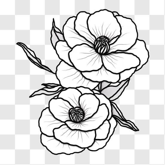 A Beautiful Pattern With A Flower Drawing By Hand. A Simple Pattern For The  Design Of Envelopes, Paper, Background For The Site And More. Black And  White Royalty Free SVG, Cliparts, Vectors,