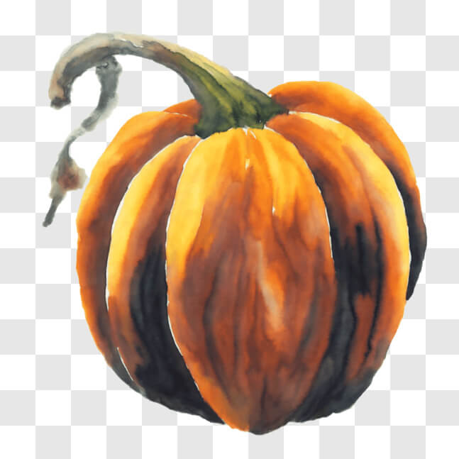 Download Watercolor Painting of an Orange Pumpkin PNG Online - Creative ...