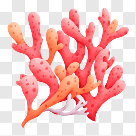Vibrant red coral pops against black backdrop png download - 3540*3296 -  Free Transparent Cartoon png Download. - CleanPNG / KissPNG