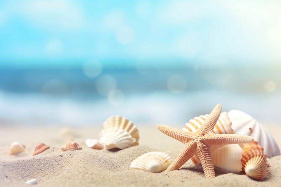 Download Beautiful Beach Scene with Starfish and Seashells Backgrounds ...
