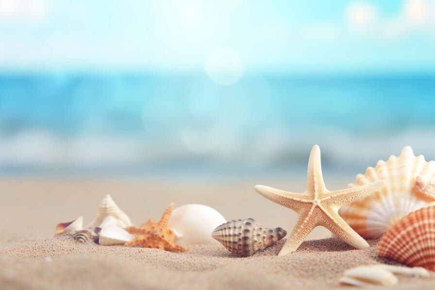 Download Beach scene with shells and starfish on the sand Backgrounds ...