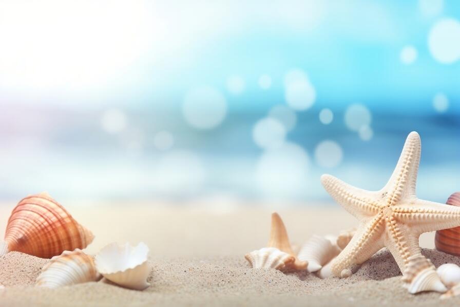 Download Beach scene with starfish, shells, and seashells Backgrounds ...