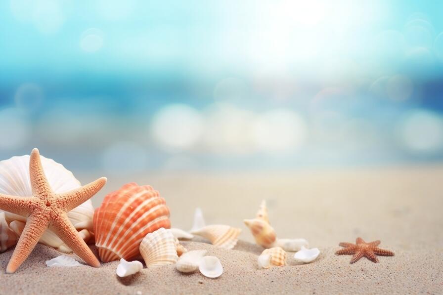 Download Beach scene with shells and starfish on the sand Backgrounds ...