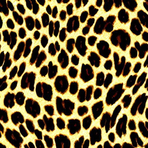 Download Leopard Print Wallpaper with Black and Brown Spots Patterns ...