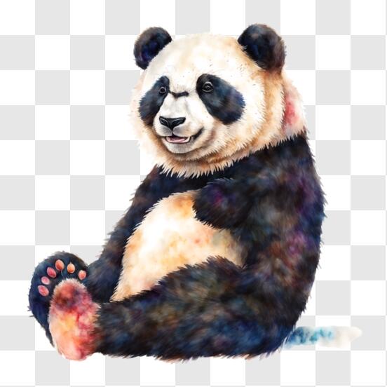 Urso Panda Desenhado à Mão Com Arco-íris Desenho De Impressão Em