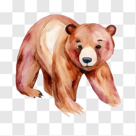 Télécharger Peinture à l'aquarelle d'un ours brun debout sur ses pattes  arrière PNG En Ligne - Creative Fabrica