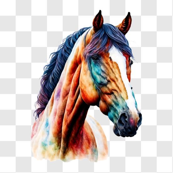Resultado de imagem para cabeça de cavalo desenho colorido
