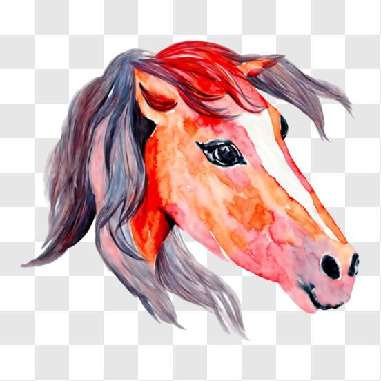 Baixe Arte decorativa de cabeça de cavalo PNG - Creative Fabrica