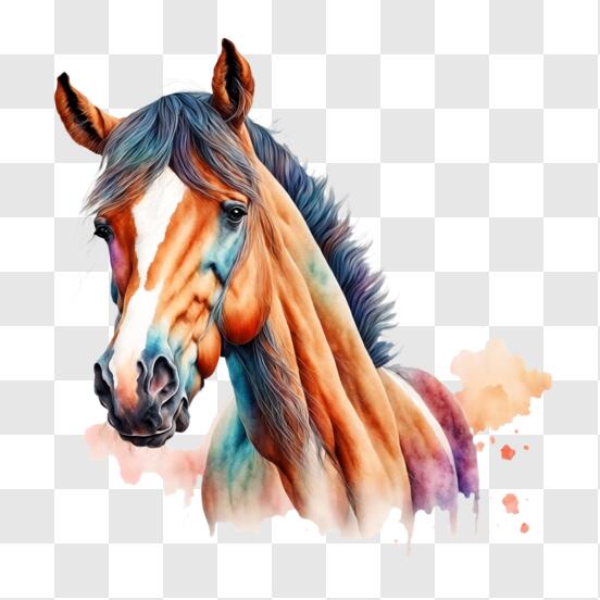 Baixe Cavalo Colorido com Ornamentação e Estrelas PNG - Creative Fabrica
