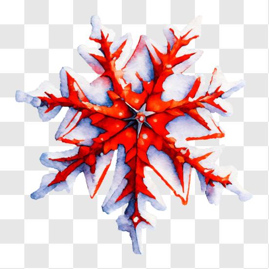 Visible Image - Clear Stamp - Snowflake Grunge