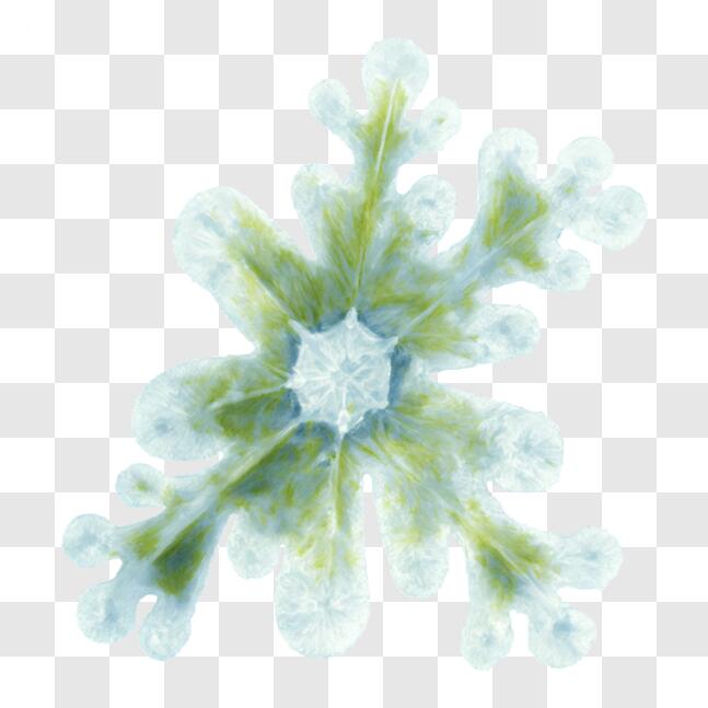 Download Unique Snowflake Floral Composition PNG Online - Creative Fabrica
