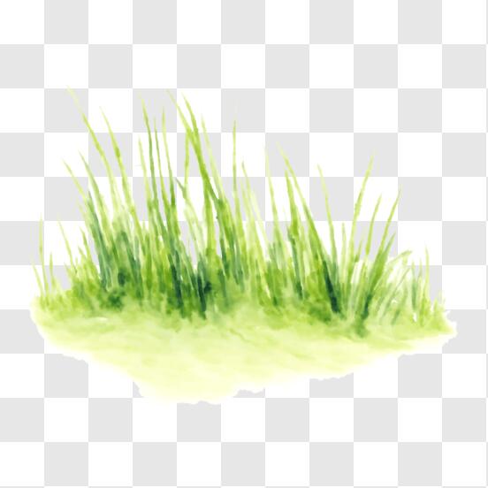 Grass PNG - Download Free & Premium Transparent Grass PNG Images