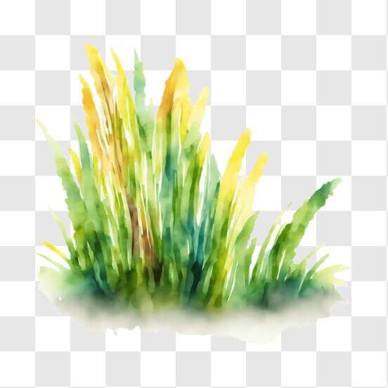 Grass PNG - Download Free & Premium Transparent Grass PNG Images