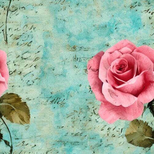 Pink Roses and Handwritten Lettering on Teal Background Pink Roses and Handwritten Lettering on Teal Background thumbnail