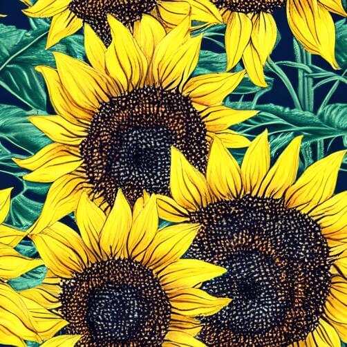 Yellow Sunflowers Seamless Pattern with Green Leaves Yellow Sunflowers Seamless Pattern with Green Leaves thumbnail