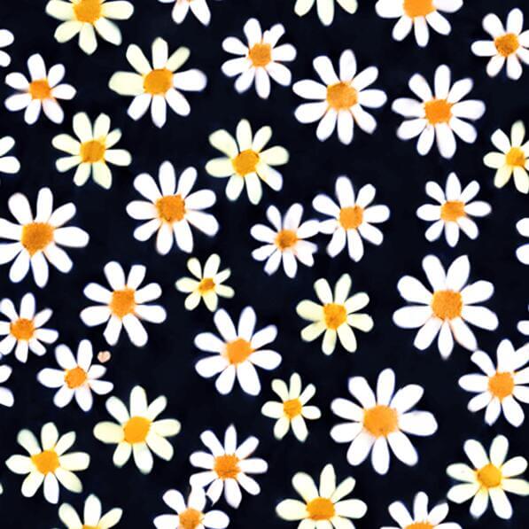 Download Beautiful Daisy Flowers on Black Background Patterns Online ...